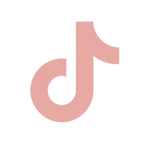 TikTok icon